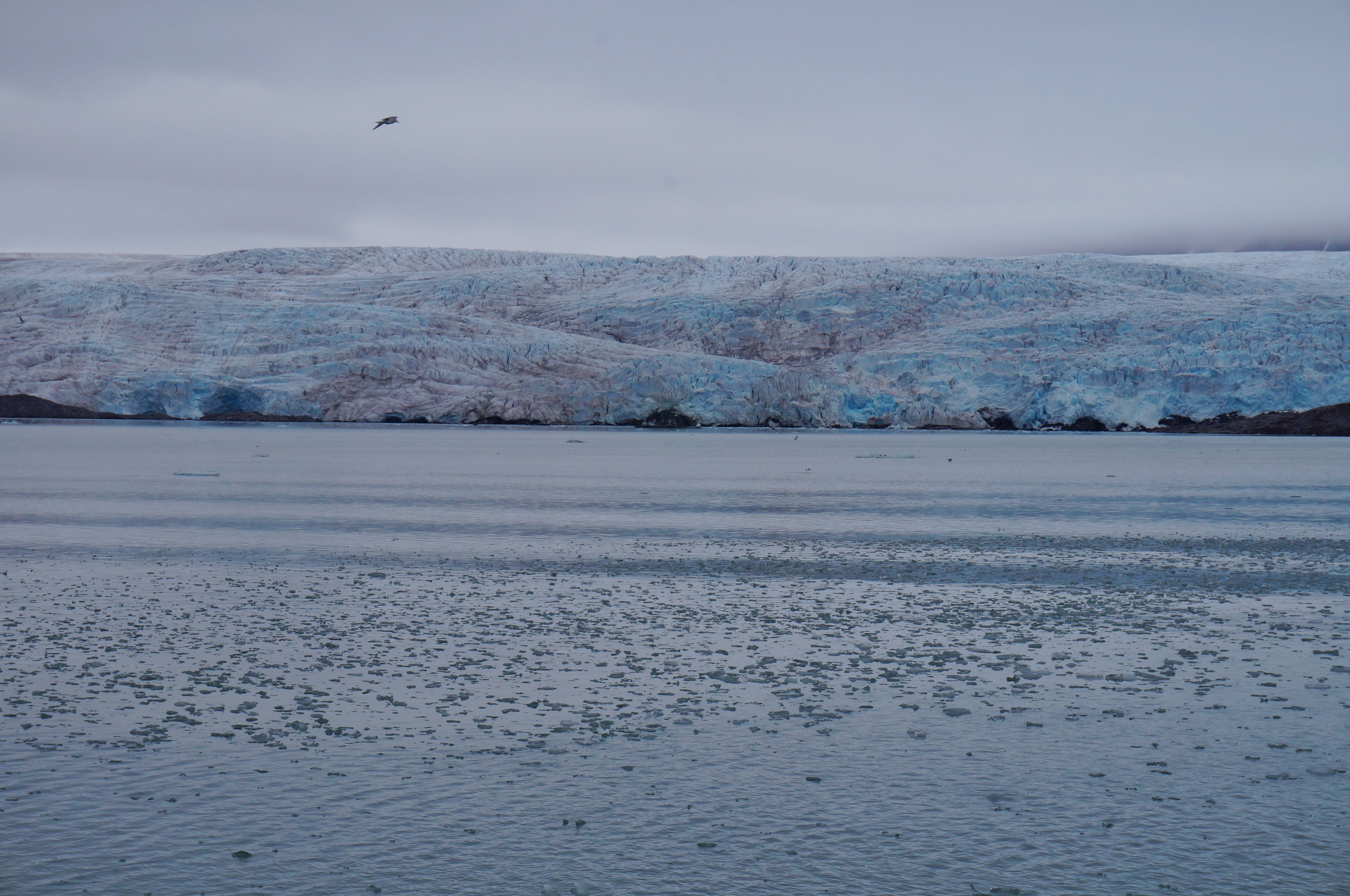 Glacier Nordenskiold