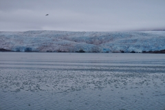 Glacier Nordenskiold