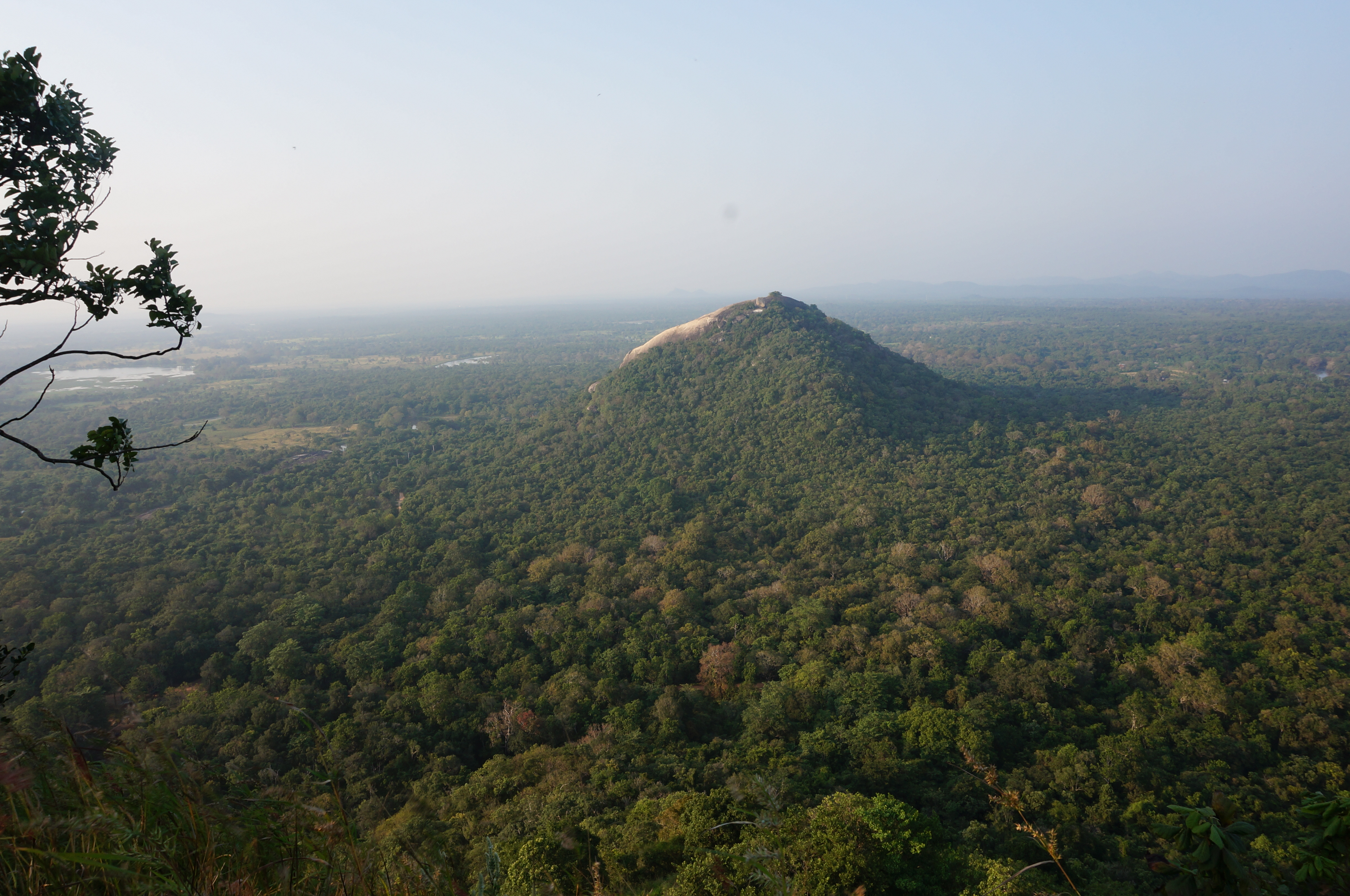 Paysage sigiriya rocher au lion