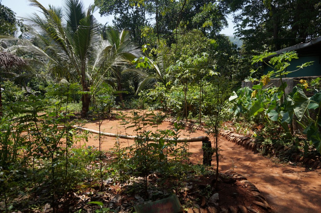 jardins d'épices sri lanka