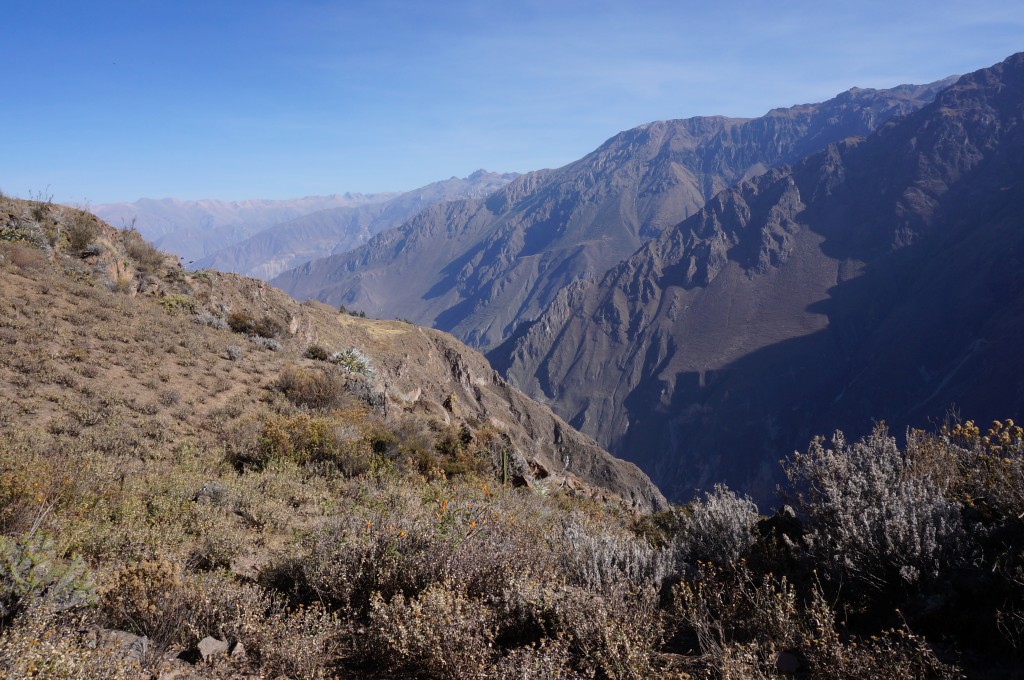 Canyon del colca