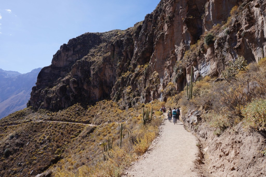 Trek Canyon del colca