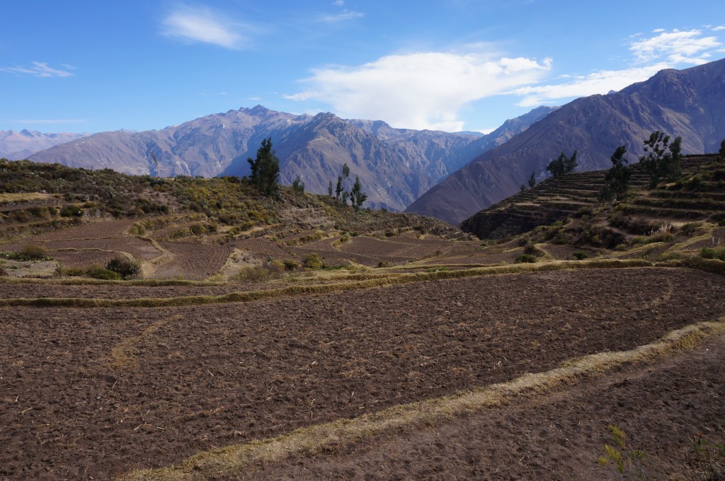 Canyon del Colca