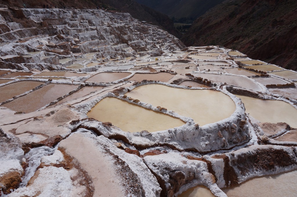 Las Salinas