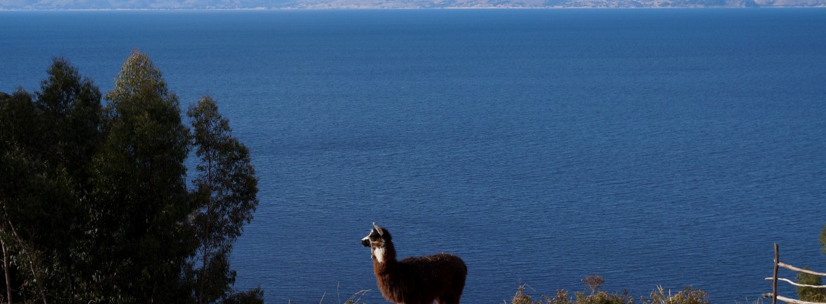 Lac titicaca