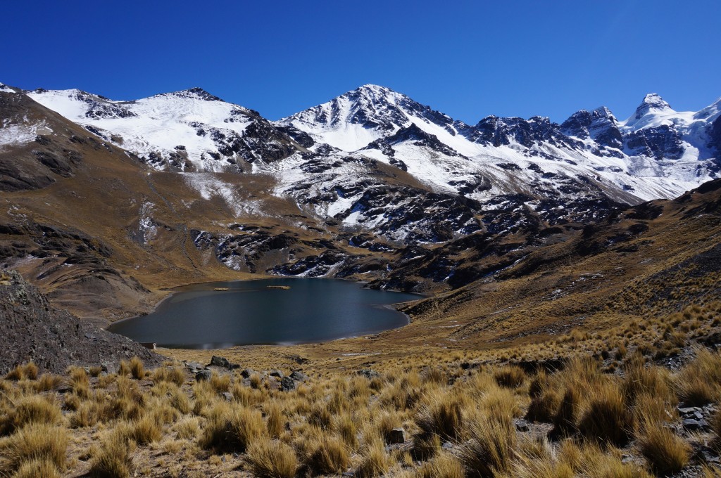 Trek Cordillère Royale