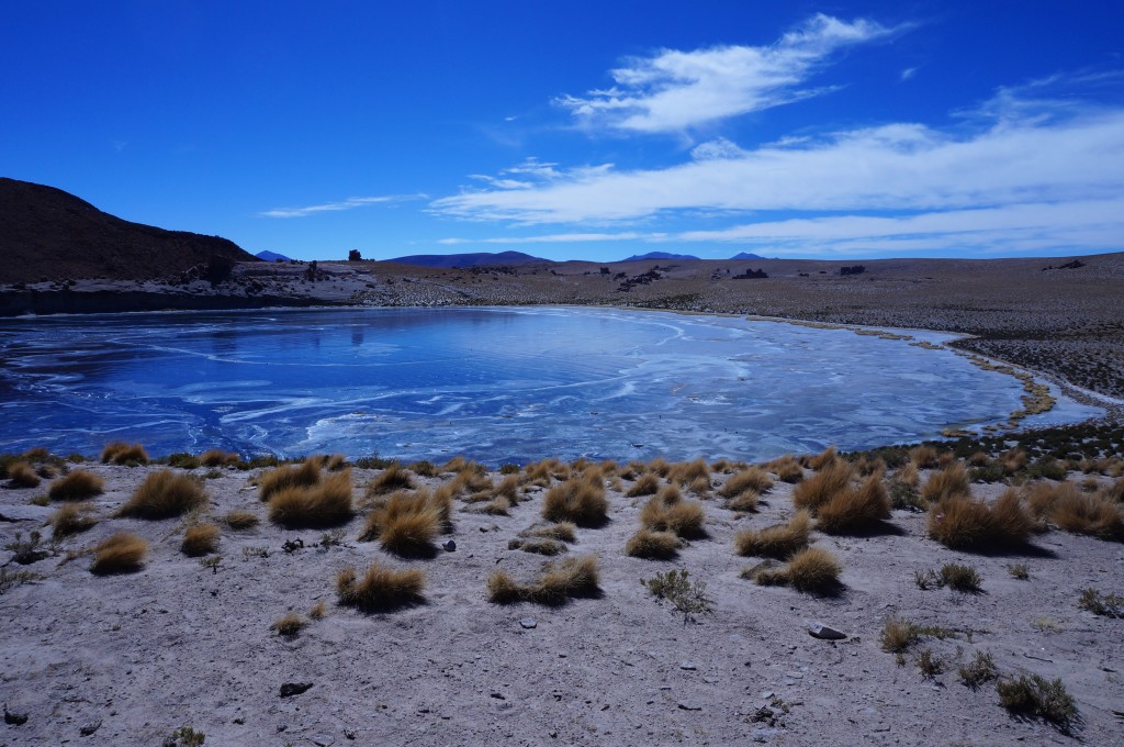 Sud Lipez - lagune