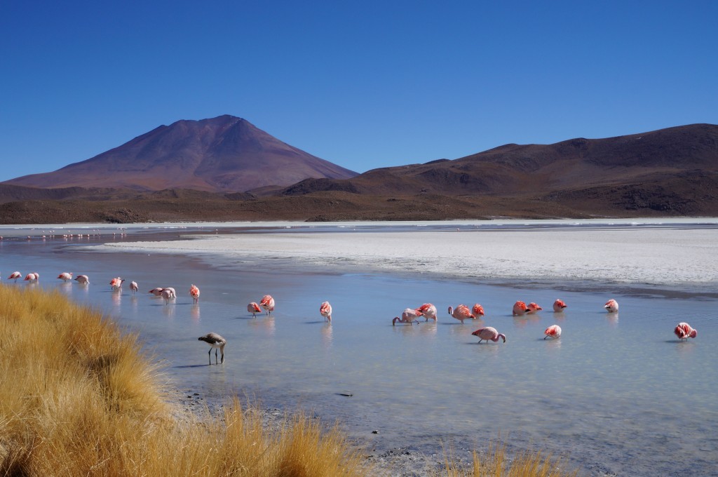 Lagune dans le sud Lipez