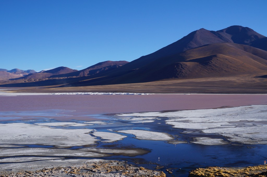 Laguna colorada