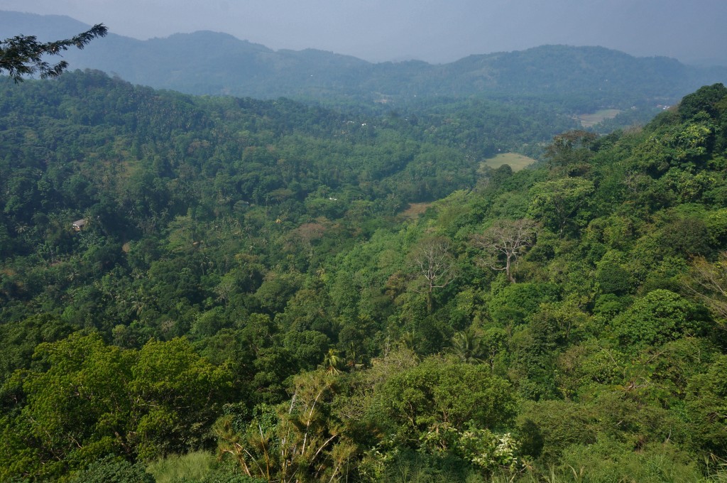 Région de Kandy