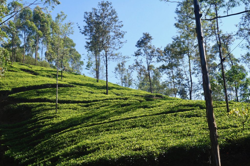 sri lanka