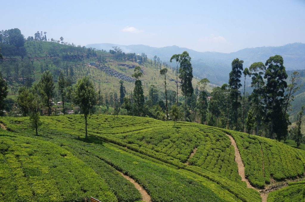 sri lanka