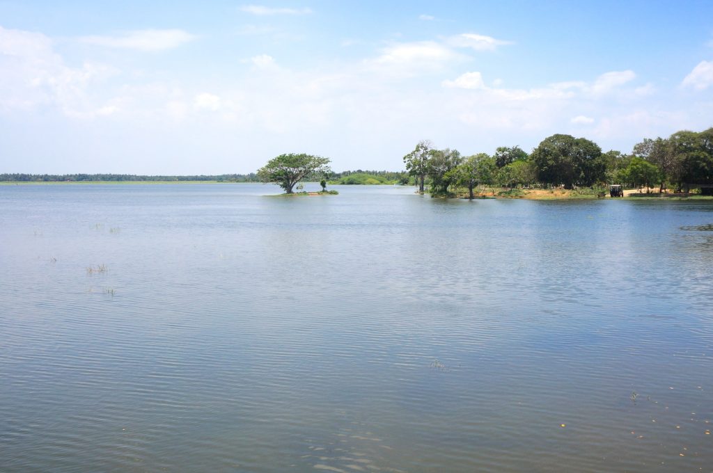 lac Tissa Wewa sri lanka yala