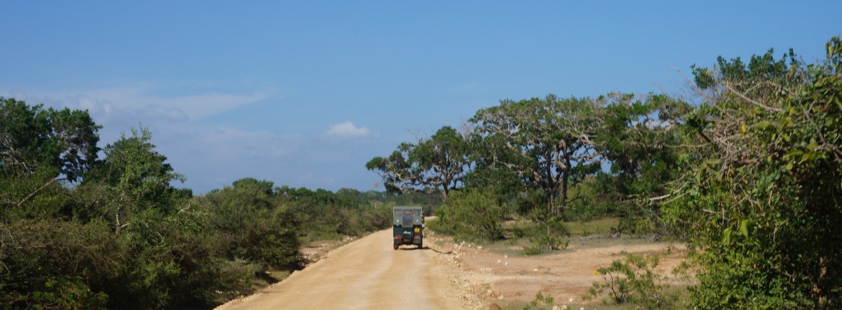 safari parc de yala