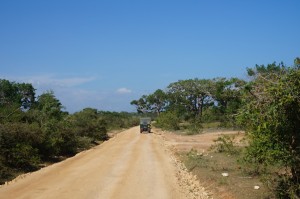 safari parc de yala