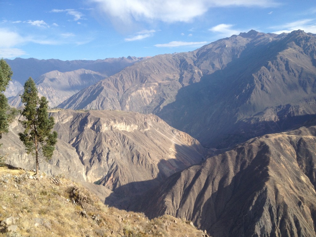 Canyon del colca