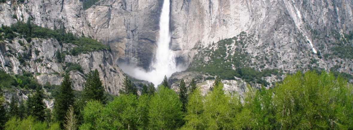 Yosemite Park