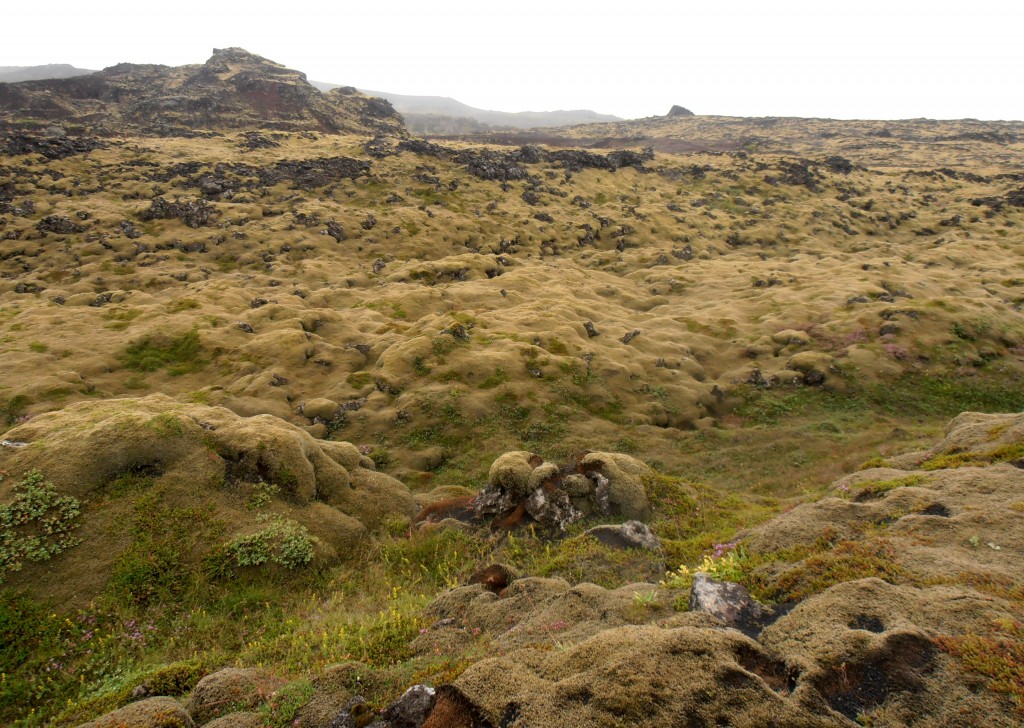 péninsule de reykjanes