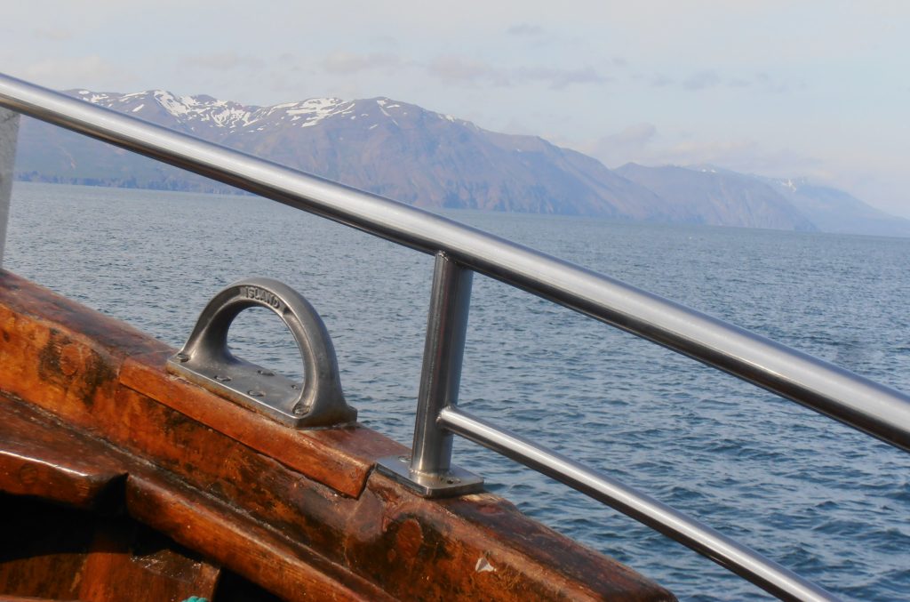 baleines islande Husavik