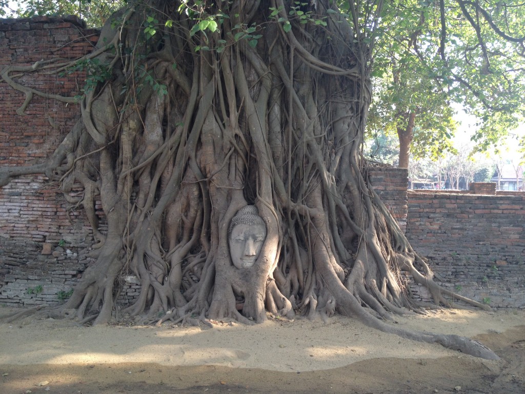 Ayutthaya (Wat Mahathat)