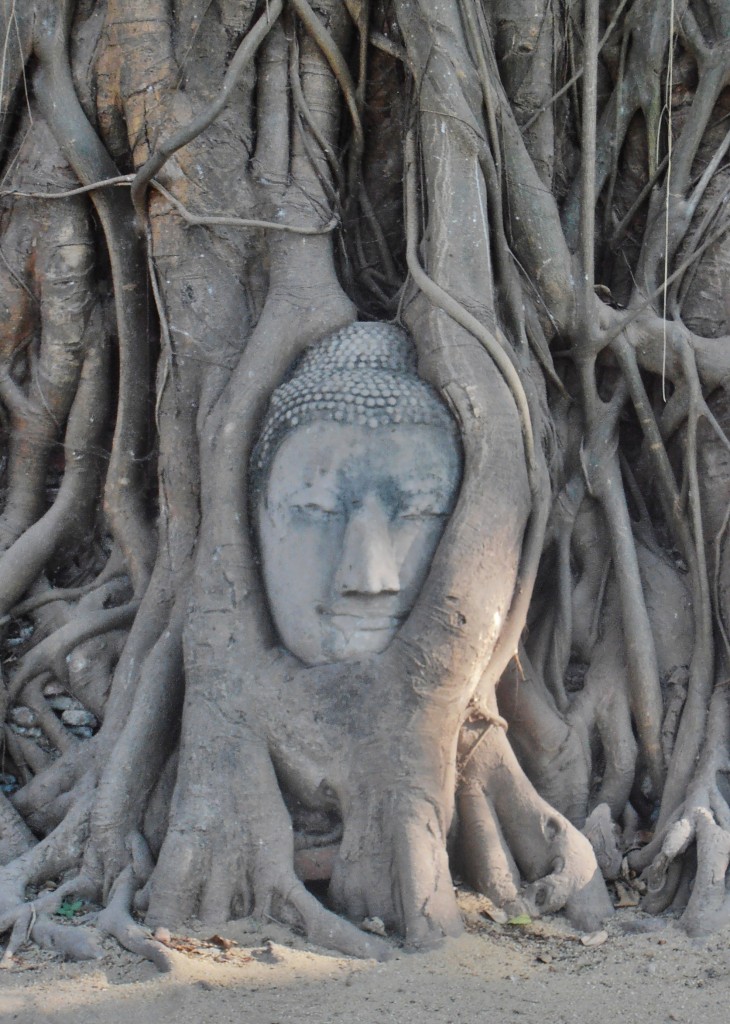 Ayutthaya (Wat Mahathat)