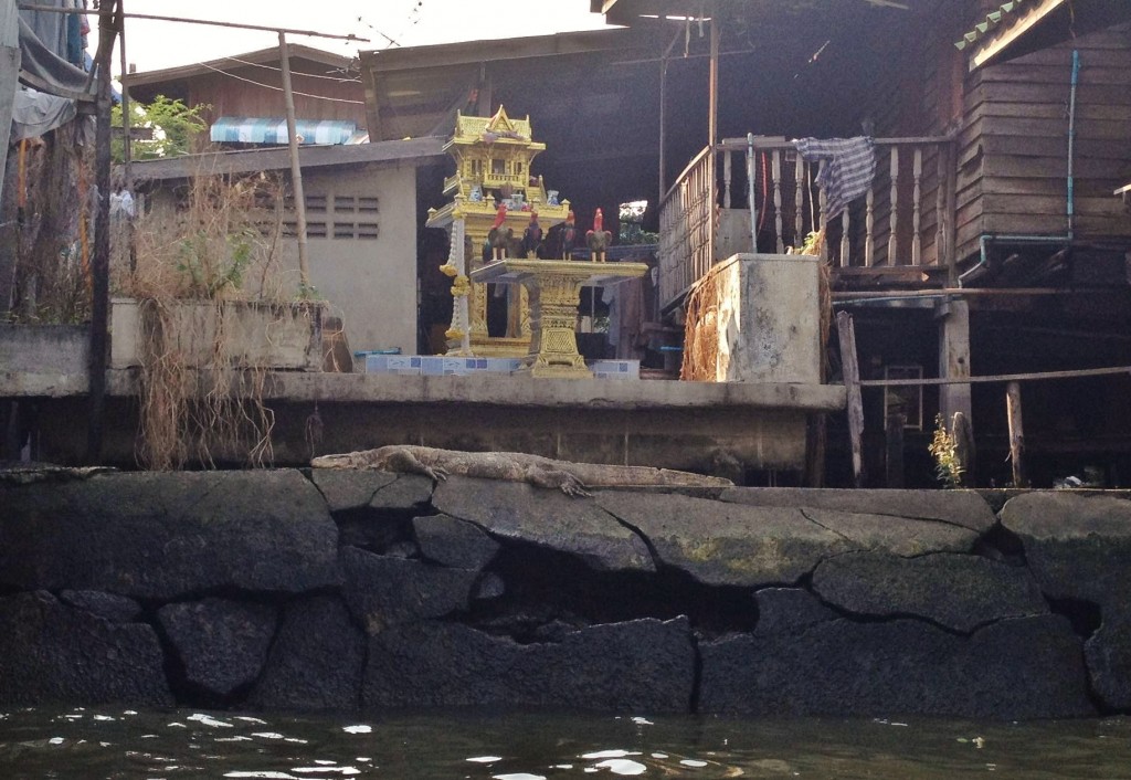 balade sur les khlongs bangkok