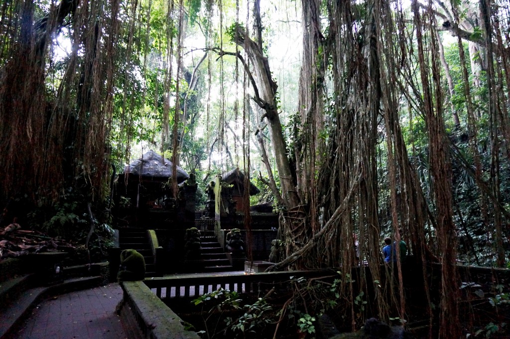 Foret sacrée des singes ubud bali