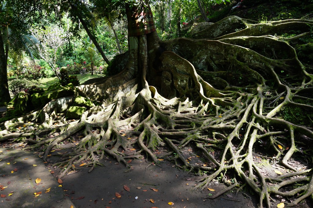 Goa Gajag (cave de l'éléphant) bali