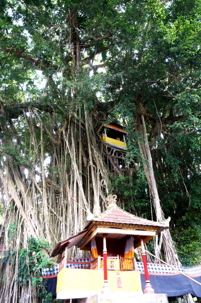 temple kehen bali