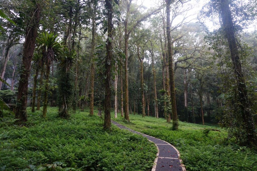 Jardin botanique Bedugul Bali