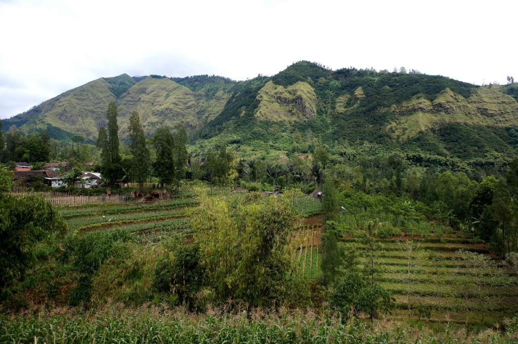 Mont Bromo Java Indonésie