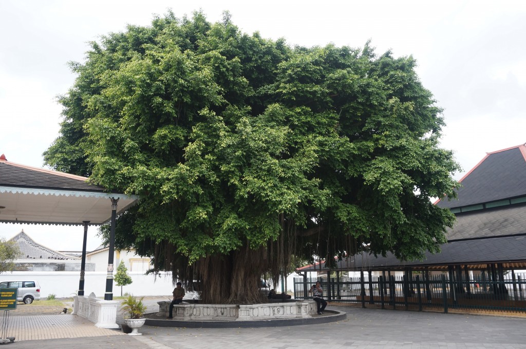 Yogyakarta le kraton