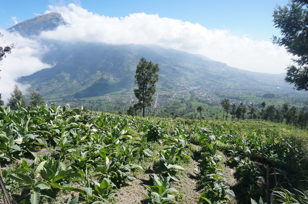 Ascension du mont Merapi Java