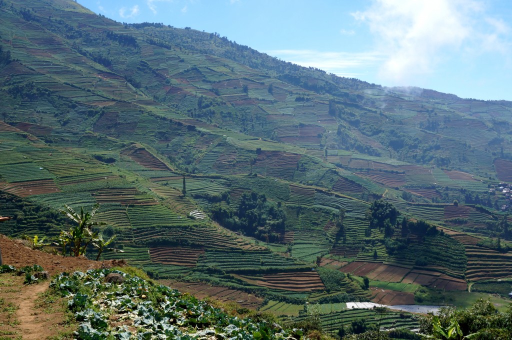 Plateau de Dieng Java