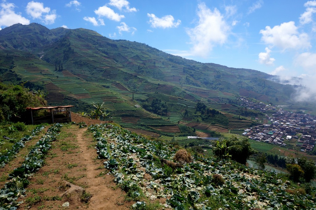 Plateau de Dieng Java