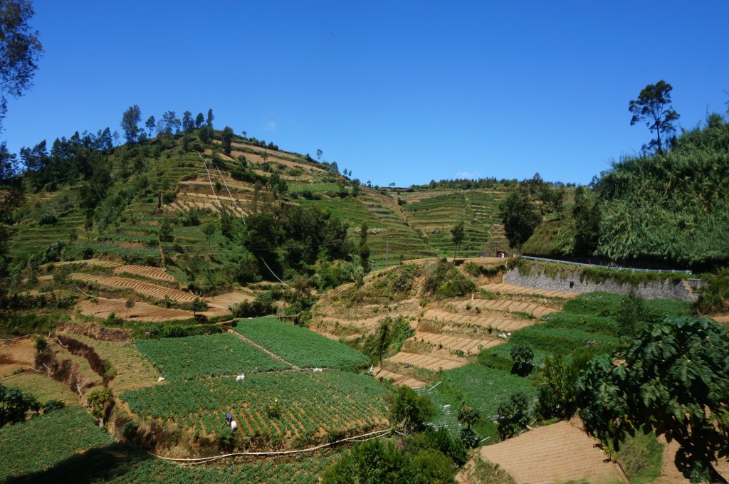 Plateau de Dieng Java