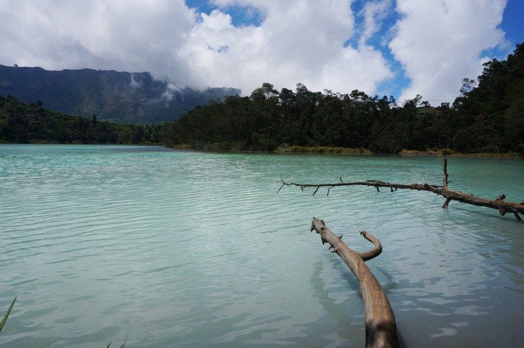 Lac acide java