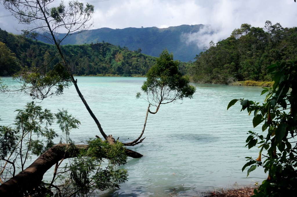 Lac acide java