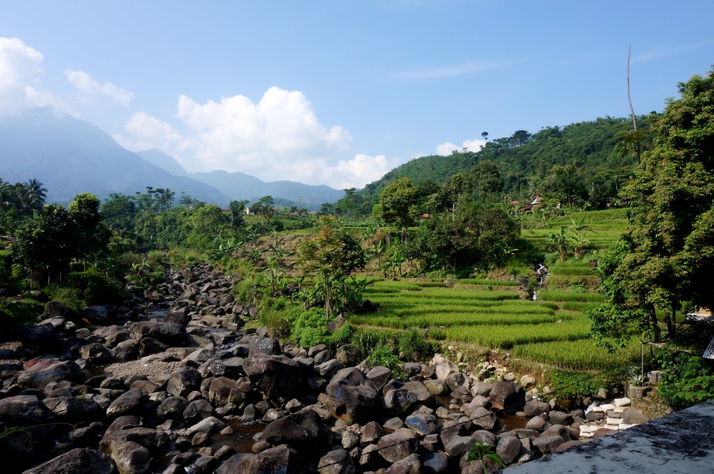 Bogor Java Indonésie