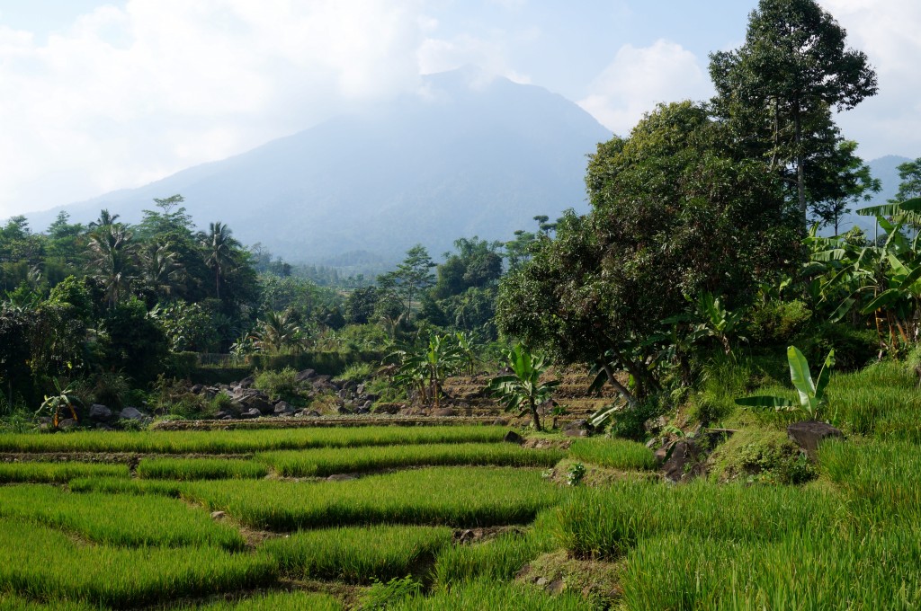 Bogor Java Indonésie