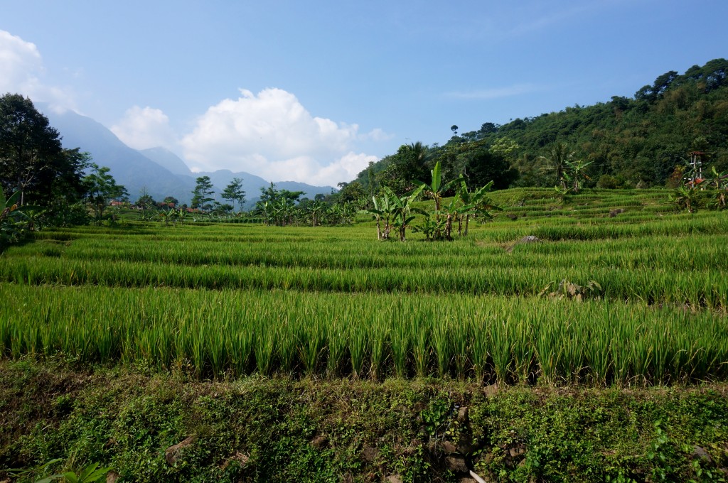 Bogor Java Indonésie