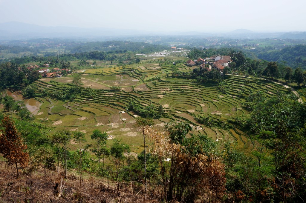 Bogor Java Indonésie