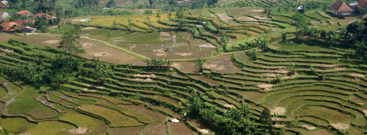 Bogor Java Indonésie