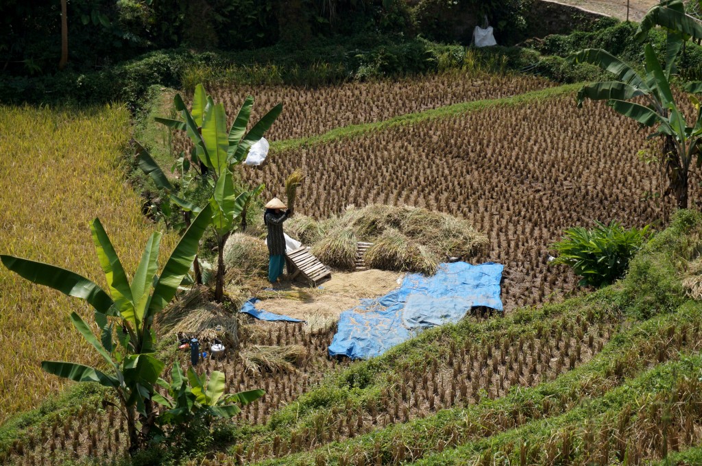 Bogor Java Indonésie