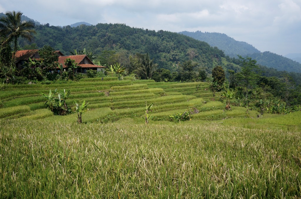 Bogor Java Indonésie