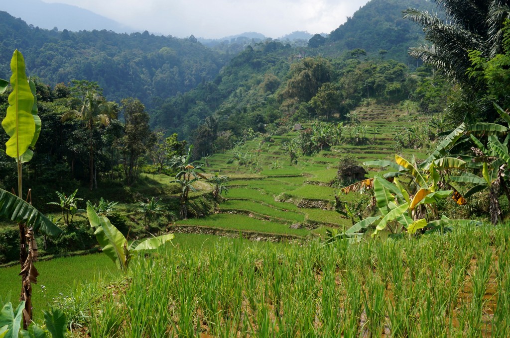 Bogor Java Indonésie