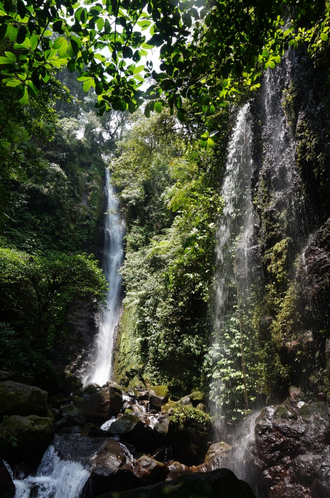 Cascade bogor java