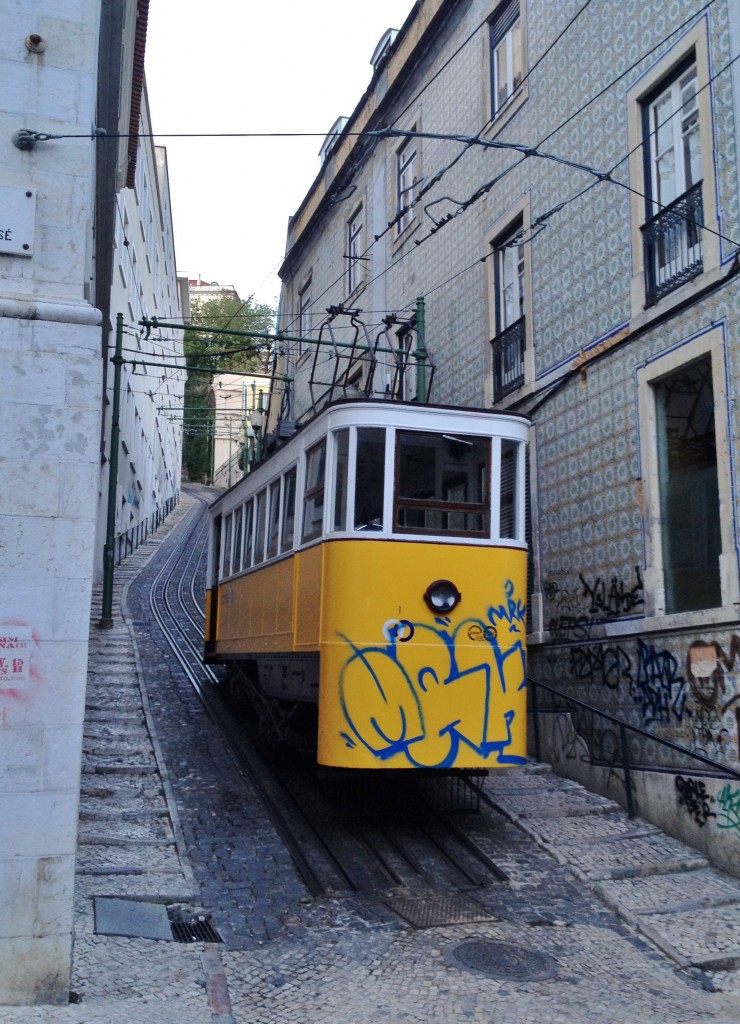 Elevador de lavra