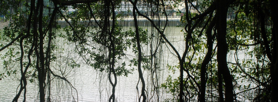 hanoi