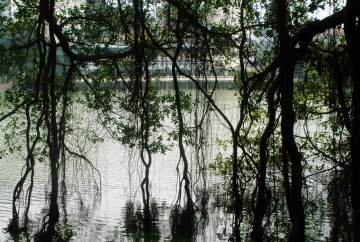 hanoi